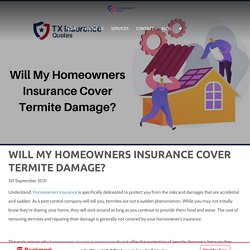 Will my Homeowners Insurance cover Termite Damage? - TX Insurance Quotes