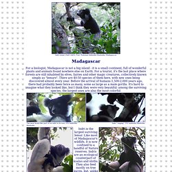 Homepage of Vladimir Dinets - Madagascar Part 1 of 12