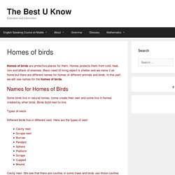 Homes of birds - The Best U Know