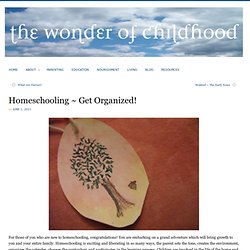 Homeschooling ~ Get Organized!