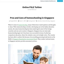 Pros and Cons of homeschooling in Singapore – Online PSLE Tuition