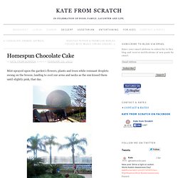 Homespun Chocolate Cake