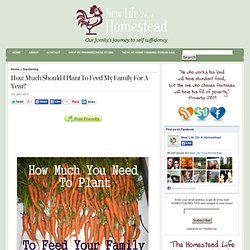 Blog Archive How Much Should I Plant To Feed My Family For A Year?