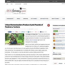 Urban Homesteaders Produce 6,000 Pounds of Food on 1/10 Acre