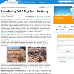 Homesteading Part 2: High Desert Gardening