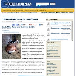 How to Make Money on a Goat Farm (Or Not) - Homesteading and Livetock