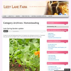 Homesteading « Lizzy Lane Farm
