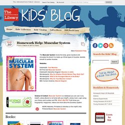 » Muscular System Kids' Blog