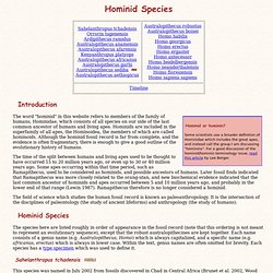 Hominid Species