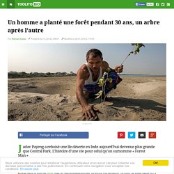 Un homme a planté une forêt pendant 30 ans, un arbre après l'autre