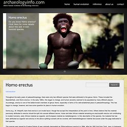 Homo erectus - H. erectus is a well known hominid