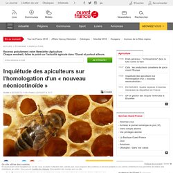 Inquiétude des apiculteurs sur l'homologation d'un « nouveau néonicotinoïde »