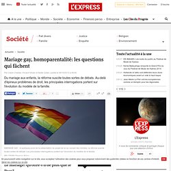 Mariage gay, homoparentalité: les questions qui fâchent