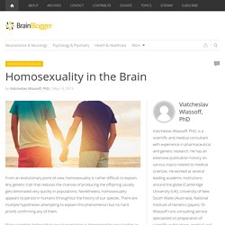 Homosexuality in the Brain