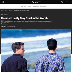 Homosexuality May Start in the Womb