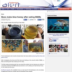 Bees make blue honey after eating M&Ms
