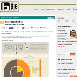 Honey Bee Extinction