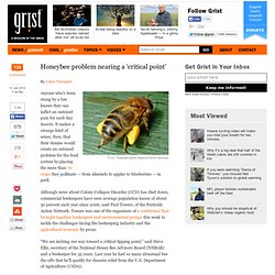 Honeybee problem nearing a ‘critical point’