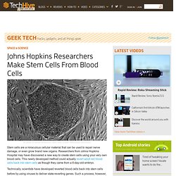 John Hopkins Researchers Make Stem Cells From Blood Cells