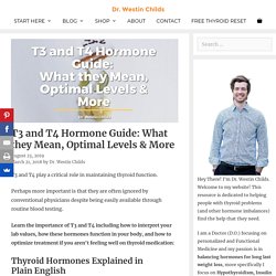 T3 and T4 Hormone Guide: What they Mean, Optimal Levels & More