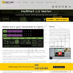 HoRNet LU Meter, Loudness Units meter with auto gain