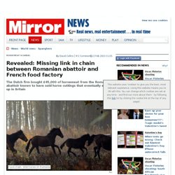 MIRROR 13/02/13 Revealed: missing link in chain between Romanian abattoir and French food factory