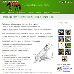 Horses Age from Teeth Growth