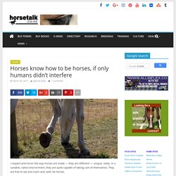Horses know how to be horses, if only humans didn't interfere - Horsetalk.co.nz