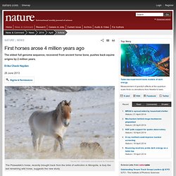 First horses arose 4 million years ago