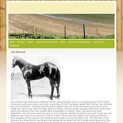 Horses of Reference -