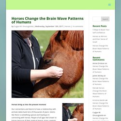 Horses Change the Brain Wave Patterns of Humans
