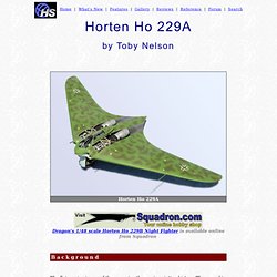 Horten Ho 229 by Toby Nelson (Dragon 1/48)