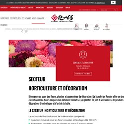Le secteur Horticulture et Décoration du Marché de Rungis - Grossistes et Fournisseurs en fleurs