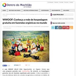 WWOOF: Conheça a rede de hospedagem gratuita em fazendas orgânicas no mundo
