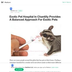 Exotic Pet Hospital In Chantilly Provides A Balanced Approach For Exotic Pets