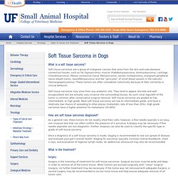 Soft Tissue Sarcoma in Dogs » Small Animal Hospital » College of Veterinary Medicine » University of Florida