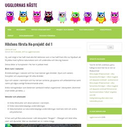 Höstens första No-projekt del 1