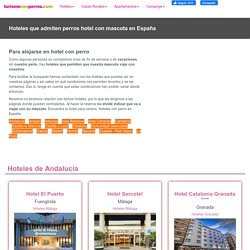 Hoteles que admiten perros para viajar con mascota en España vacaciones en hotel con perro playa y Montaña