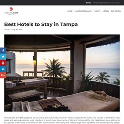 Best Hotels to Stay in Tampa - CheapFlightsDeal4U
