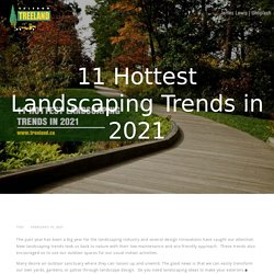 11 Hottest Landscaping Trends in 2021