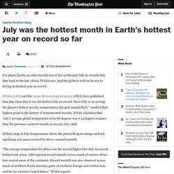 July was the hottest month in Earth’s hottest year on record so far