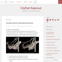 Houdini Solvers Mutual Interaction – Ceyhan Kapusuz