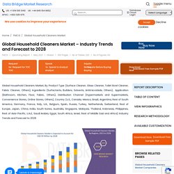 Household Cleaners Market – Global Industry Trends and Forecast to 2028