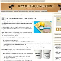 Do It Yourself Laundry and Household Cleaners
