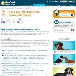 Pet Health Article Archive - Banfield Pet Health Resources