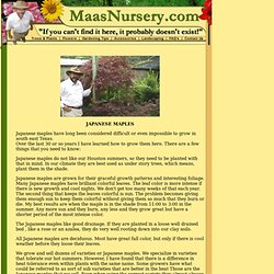 Houston Garden Center and Nursery by Maas-Gardens and Gardening Supply Source