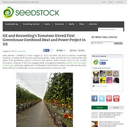 GE and Houweling’s Tomatoes Unveil First Greenhouse Combined Heat and Power Project in US