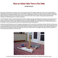 How An Urban Abo Tans a fox Hide