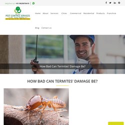 How Bad Can Termites’ Damage Be?