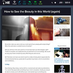 How to See the Beauty in this World (again)